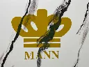 63a56aee-b0b7-4e16-9312-561988d728d3.webp