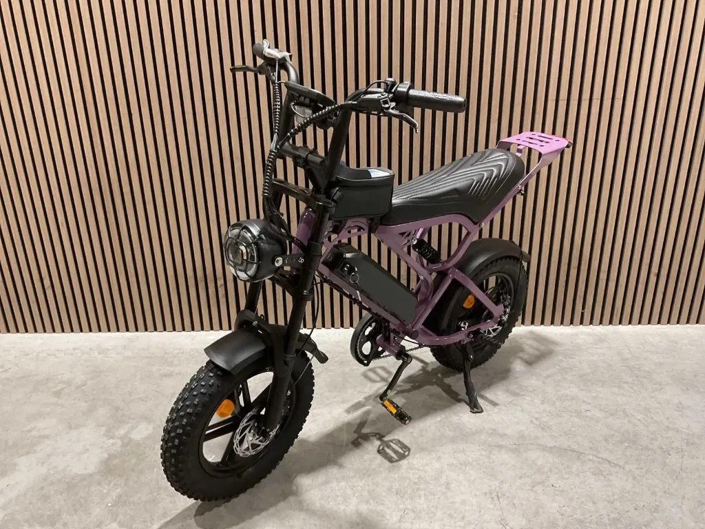 Elektrische fiets | V20 Mini | Paars