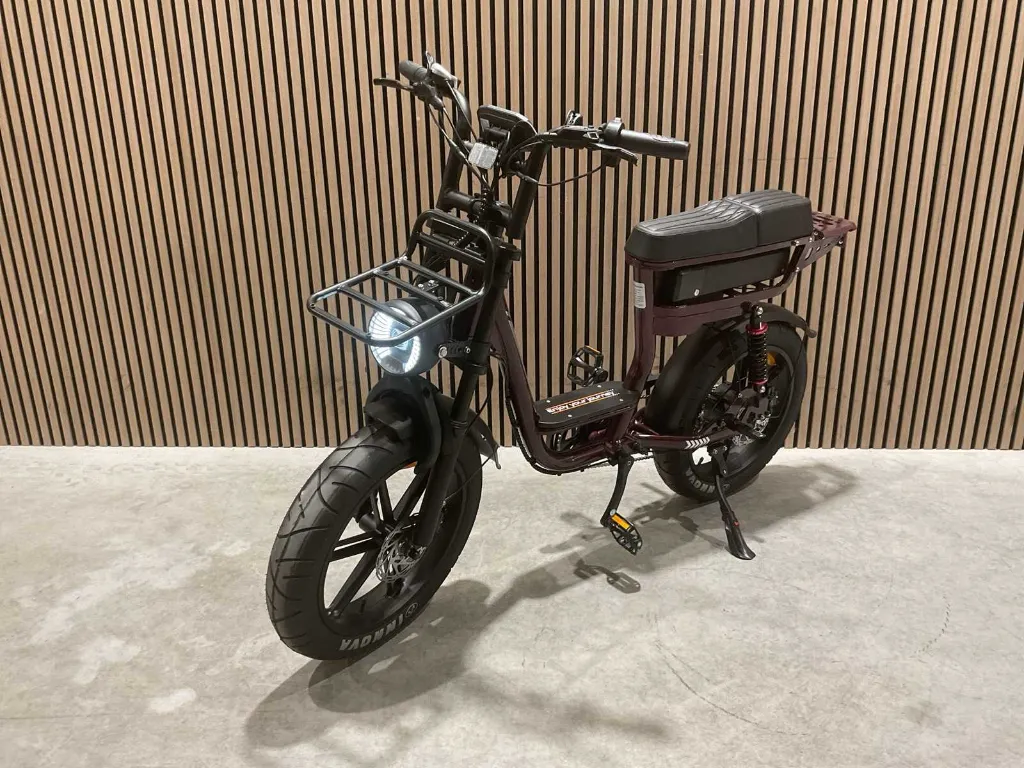 Fatbike 250W | C28 | Paars