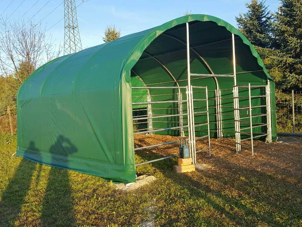 Dierenverblijf | 6 meter Cattle tent 6x6x3,7 m | Groen | Rhino-Cross-Shelters