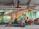 Dinosaurus Tyrannosaurus Rex 12 meter | RAD-018 | Rhino-Cross-Dino