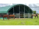 Dierenverblijf | 10 meter Cattle tent 9,76x9,76x4,5 m | Leger Groen | Rhino-Cross-Shelters