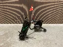 Drift Trike | 27JA | Zwart | Ultra Motocross