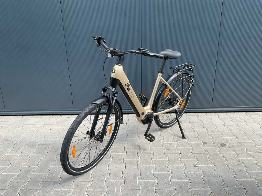 Elektrische fiets | Comfort | Mat Champagne | Rabeneick