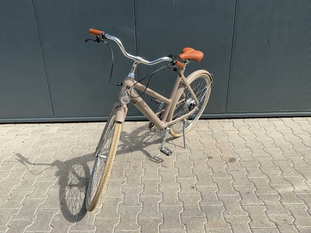 Elektrische fiets | Dublin ST | Licht Bruin | Watt