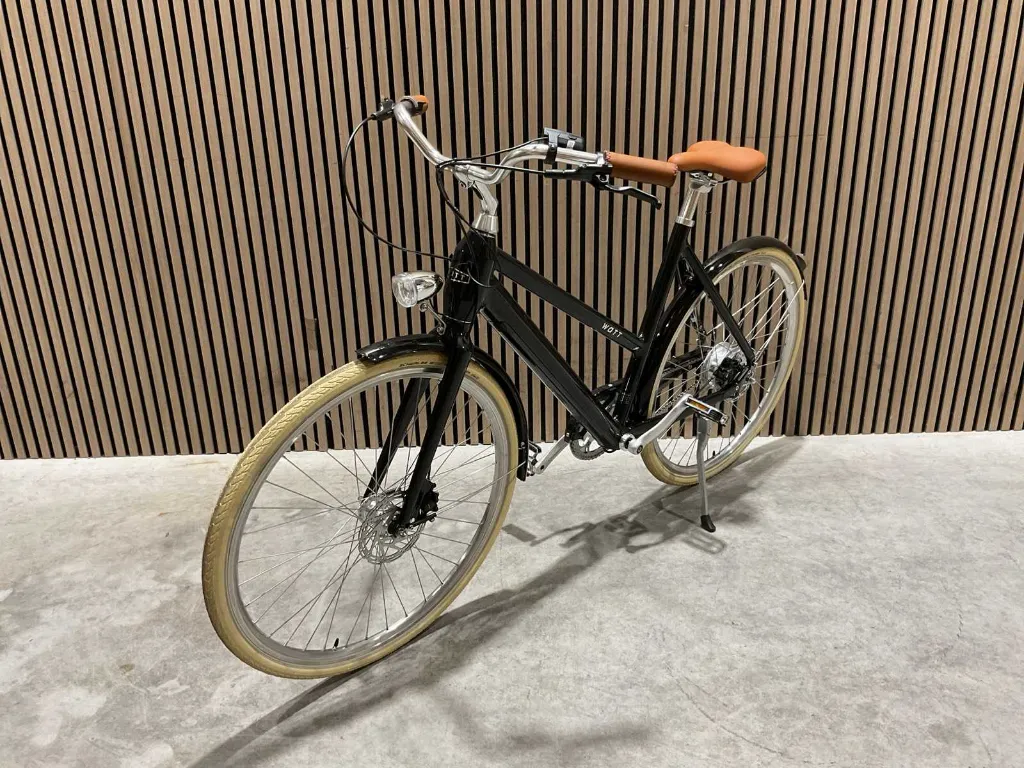 Elektrische fiets | Dublin ST | Zwart | Watt